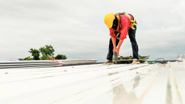 Best Sheet Metal Roofing  in Mount Penn, PA