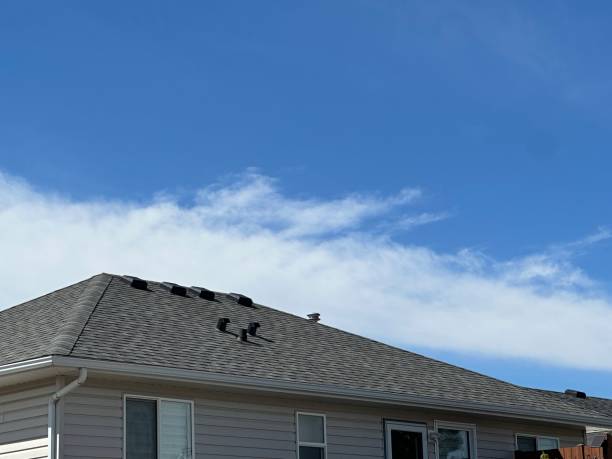 Best Skylight Installation and Repair  in Mount Penn, PA